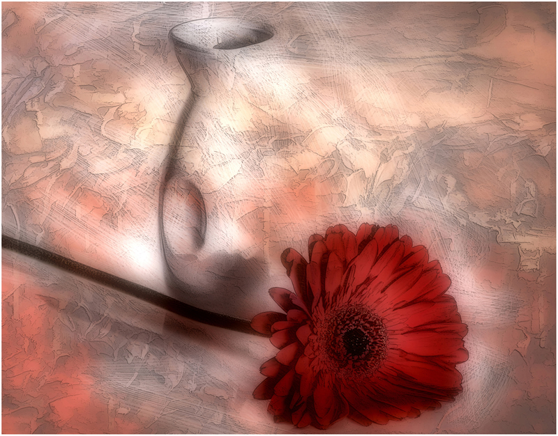 Dream the Dream by Marlene Smith